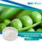pea protein food